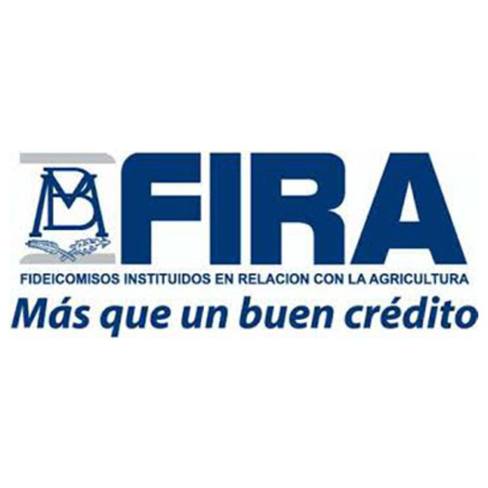 medium_FIRA.jpg